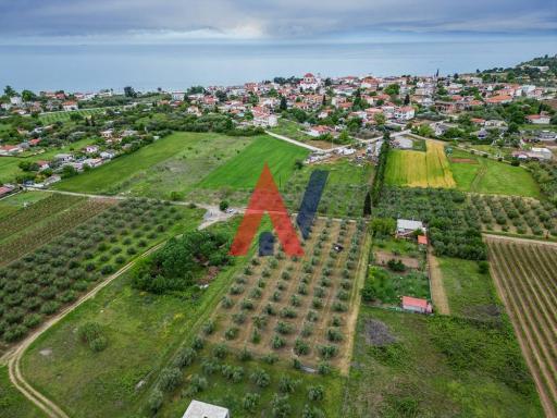 Οικόπεδο 1.950 τ.μ. — Νέα Ηράκλεια · Χαλκιδική