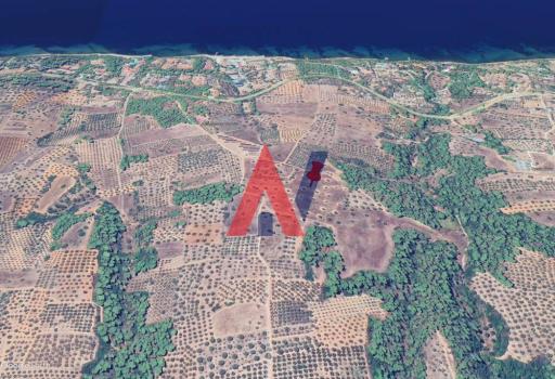 Αγροτεμάχιο 28.000 τ.μ. — Νικήτη · Χαλκιδική