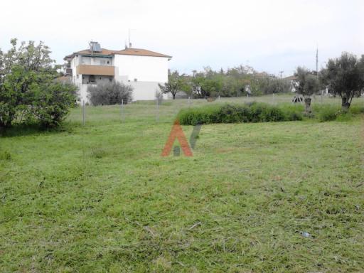 Οικόπεδο 530 τ.μ. — Αγγελοχώρι · Θεσσαλονίκη - Περιφ/κοί δήμοι