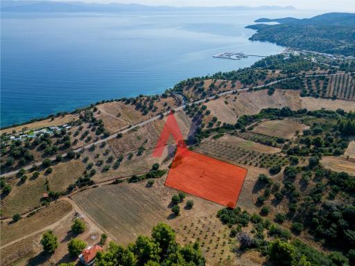 Αγροτεμάχιο 5.168 τ.μ. — Παλιούρι · Χαλκιδική