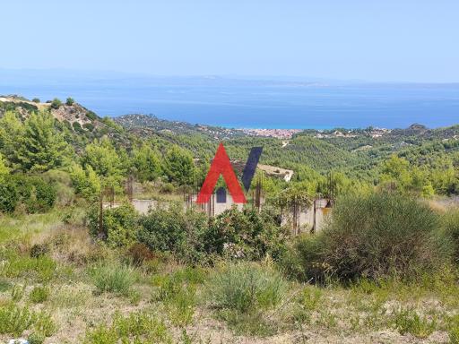 Αγροτεμάχιο 3.700 τ.μ.