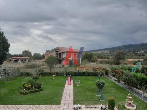 Από το χαρτοφυλάκιο · ΘΑΝΟΣ ΤΣΑΟΥΣΟΓΛΟΥ