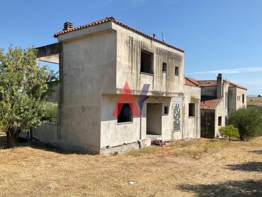 Οικόπεδο 8.000 τ.μ.